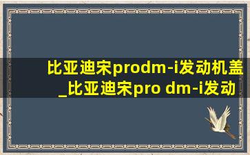 比亚迪宋prodm-i发动机盖_比亚迪宋pro dm-i发动机盖怎么盖